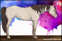 Horse Color:Classic Champagne Dun 