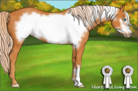 Horse Color:Chocolate Palomino Frame 
