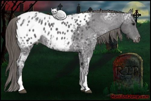 Horse Color: Smoky Black Ice Blanket 