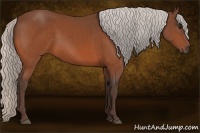 Horse Color:Silver Bay 