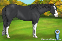 Horse Color:Brown Splash 