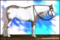 Horse Color:Silver Black Sabino Frame