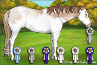 Horse Color:White Spotted Bay Roan Pearl Splash Frame 