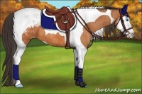 Horse Color:Bay Splash Tobiano Blanket  Brindle
