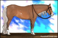 Horse Color:Silver Bay Sabino 