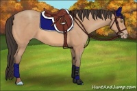 Horse Color:Amber Champagne 