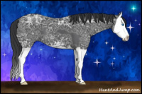 Horse Color:Black Ice Splash 