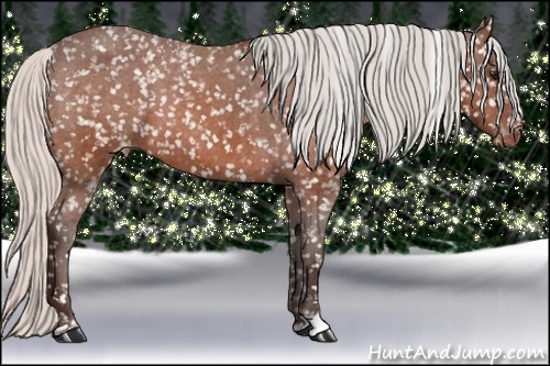 Horse Color: Silver Brown Snowflake Varnish