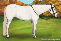 Horse Color:Smoky Creme Roan Dun 