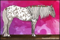 Horse Color:Silver Grullo Near Leopard 