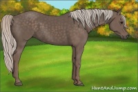 Horse Color:Silver Black