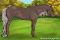 Horse Color:Silver Black 