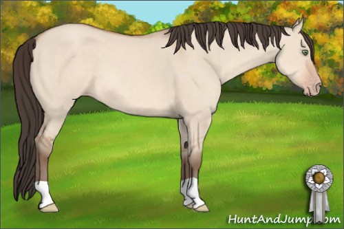 Horse Color: Amber Champagne Dun 