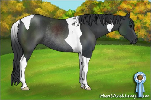 Horse Color: Brown Tobiano Rabicano 