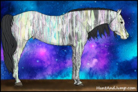 Horse Color:Black Ice 