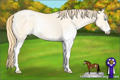 Horse Color: Unknown 