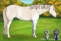 Horse Color:White Spotted Perlino