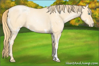 Horse Color:White Spotted Buckskin Pearl 