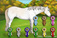 Horse Color:White Spotted Perlino Dun 