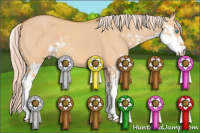 Horse Color:Gray Cremello Dun Sabino 