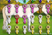 Horse Color:White Spotted Buckskin Pearl Splash 