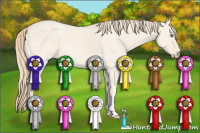 Horse Color:White Spotted Perlino Dun 