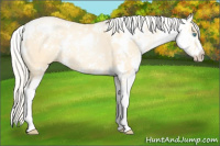 Horse Color:Palomino Pearl Dun Sabino 