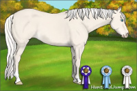 Horse Color:Silver Perlino Dun
