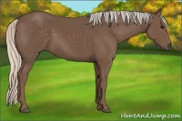 Horse Color:Silver Black 
