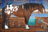 Horse Color:Bay Splash Tobiano Blanket  Brindle