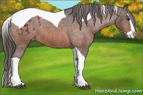 Horse Color:Bay Splash Tobiano Blanket Brindle