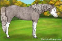 Horse Color:Silver Blue Roan Splash