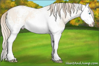 Horse Color:White Spotted Perlino Dun Splash 