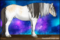 Horse Color:White Spotted Buckskin Dun 