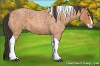 Horse Color:Bay Roan Splash Tobiano Varnish Brindle