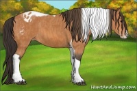 Horse Color:Bay Splash Tobiano Blanket  Brindle