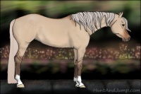 Horse Color:Silver Bay Dun 