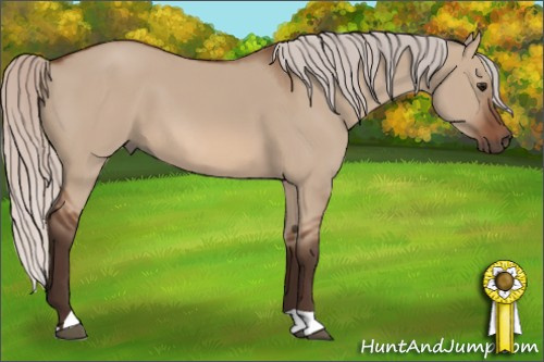 Horse Color: Silver Brown Dun 
