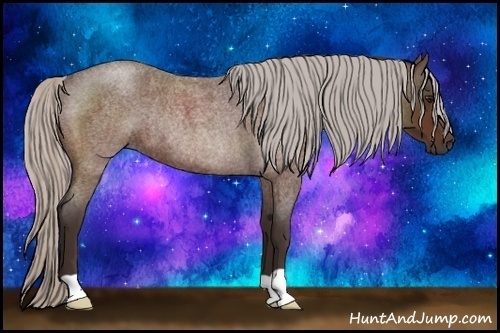 Horse Color:Silver Bay Roan Rabicano 