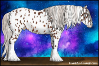Horse Color:White Spotted Silver Brown Appaloosa