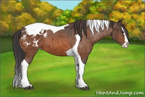 Horse Color: Bay Splash Tobiano Blanket  Brindle
