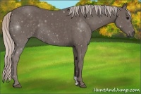 Horse Color:Silver Black 