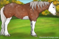 Horse Color:Silver Bay Splash 