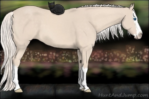 Horse Color:Cremello Sabino Splash