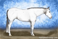 Horse Color:Grullo Roan Splash Near Fewspot 