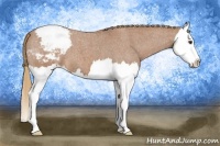 Horse Color:Red Roan Splash Varnish 