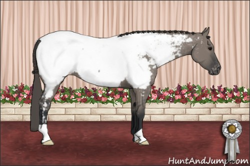 Horse Color: Brown Dun Near Fewspot 