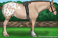 Horse Color:Liver Red Roan Pearl Appaloosa