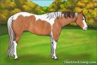 Horse Color:Bay Splash Tobiano Varnish  Brindle
