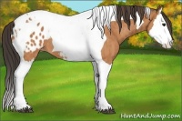 Horse Color:Bay Splash Tobiano Appaloosa Brindle